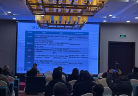 葡萄园土壤改良与肥力调控工艺