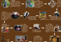 葡萄酒工艺流程图怎么画