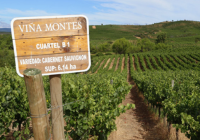 伊塔塔谷酒庄（Bodegas Itata）