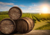 红酒酒桶是什么体？探究其独特形态与魅力