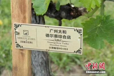 烟台张裕先锋国际酒庄联盟酒庄