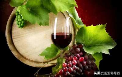 葡萄酒酸度知识科普:理解酸度对葡萄酒口感的影响