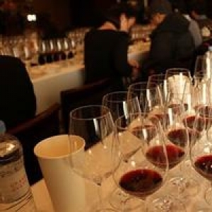 葡萄酒进阶学习攻略:成为葡萄酒爱好者的必经之路