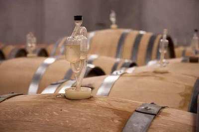 下胶后葡萄酒静置（絮凝沉淀）时间与温度调控工艺