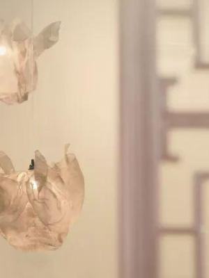 葡萄酒单宁知识科普：认识红葡萄酒中的重要成分​