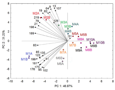 葡萄酒香气物质（气相色谱 - 嗅闻法）分析工艺