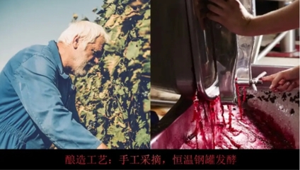 葡萄酒工艺个性化(定制化生产)实施工艺
