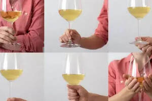 品酒礼仪(持杯姿势 / 吐酒方式)基础常识