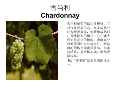 葡萄酒适应气候变化种植工艺（品种改良 / 区域调整）