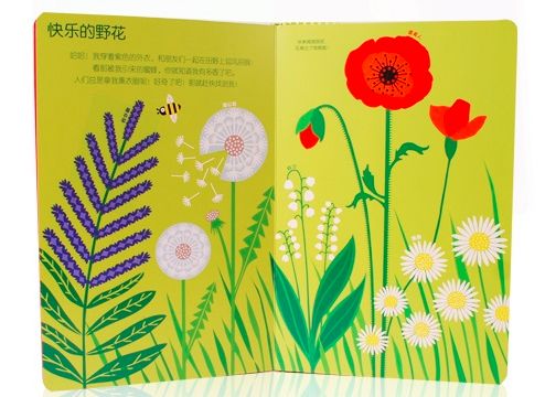 训练嗅觉敏感度的日常方法（闻水果 / 香料）常识