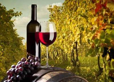 葡萄酒风味浓郁度(淡 / 适中 / 浓郁)判断常识