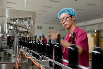 葡萄酒质量控制与检测工艺