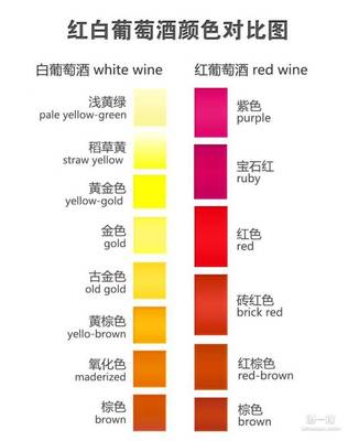 红葡萄酒边缘色带(紫色 / 红色 / 棕色)观察常识