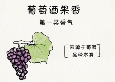 葡萄酒果香( primary aroma)保留工艺