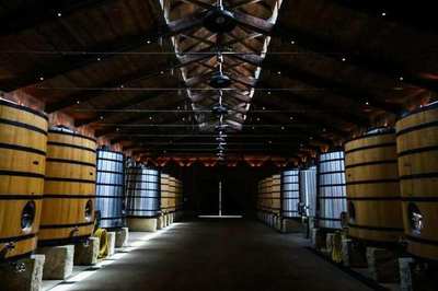 葡萄酒联合澄清（离心 + 过滤）工艺优化