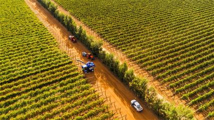 你知道葡萄酒产区风土的奥秘吗？