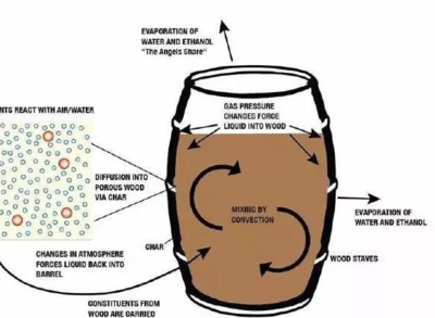 葡萄酒微生物对风味（酵母衍生物 / 细菌代谢物）贡献工艺