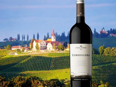 桃乐丝酒庄(Bodegas Torres)