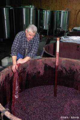 白葡萄酒发酵前果汁澄清（自然澄清 / 离心澄清）工艺