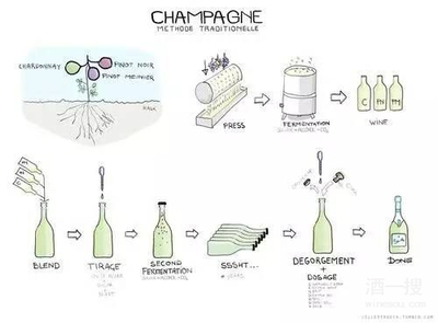 从香气推测酿造工艺(橡木香 = 桶陈 / 酵母香 = 起泡传统法)的盲品常识