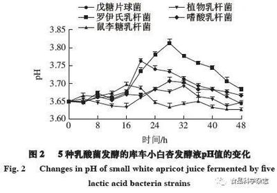 苹果酸 - 乳酸发酵结束(苹果酸含量检测)判断工艺