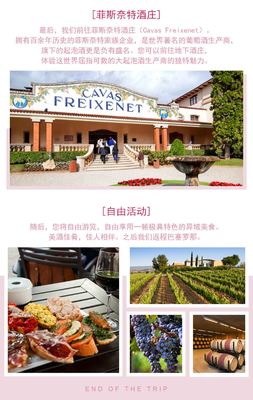 菲斯奈特酒庄（Freixenet）