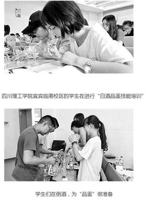 多人品酒的组织方式（轮流倒酒 / 集体评价）常识