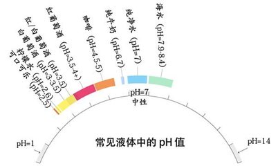 品酒过程中补水(纯净水,不影响味觉)常识