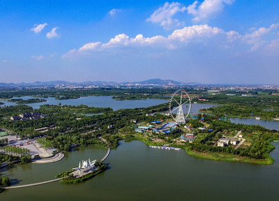 发酵过程中二氧化碳回收(食品级 CO₂)与利用工艺