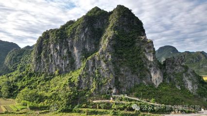 葡萄酒工艺与乡村文化(乡村振兴 / 农村酒庄)结合工艺