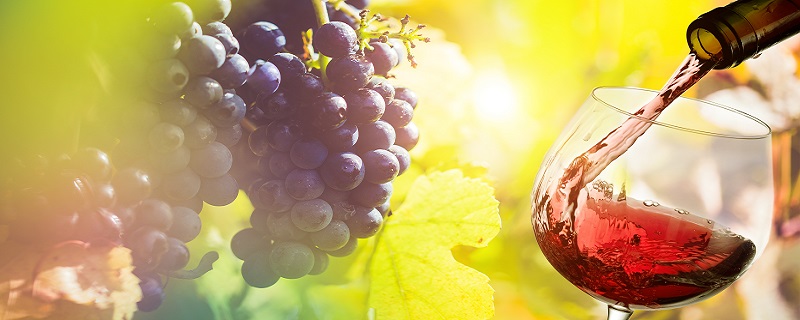 葡萄酒澄清后上清液分离（虹吸 / 泵抽）工艺