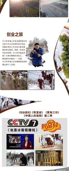 冰酒工艺（全流程）标准化工艺