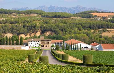 莫纳斯特雷尔酒庄(Bodegas Monastrell)