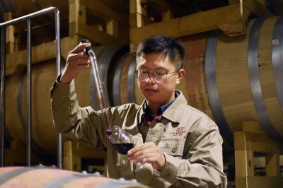 手工酿造葡萄酒营销:匠人精神如何打动消费者