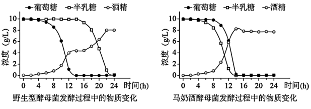 发酵过程中泡沫(酵母代谢产物)控制工艺