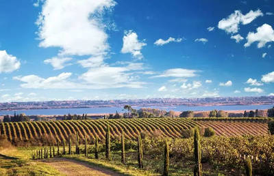 葡萄酒产区风土,隐藏着多少惊喜?