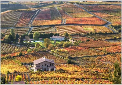 领略葡萄酒产区风土，品味自然杰作