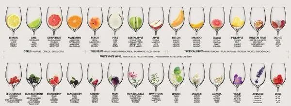 罐式法起泡葡萄酒品酒常识（清新果香 / 短暂气泡）