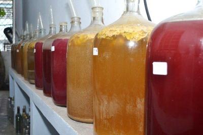 葡萄酒发酵过程在线监测（传感器 + 物联网）应用工艺