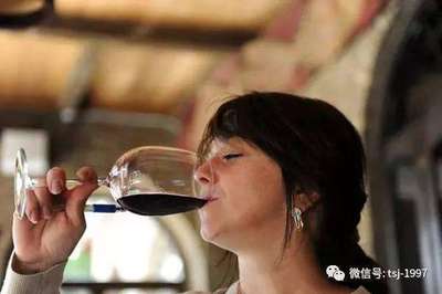 传统法起泡葡萄酒品酒常识（复杂酵母香 / 持久气泡）